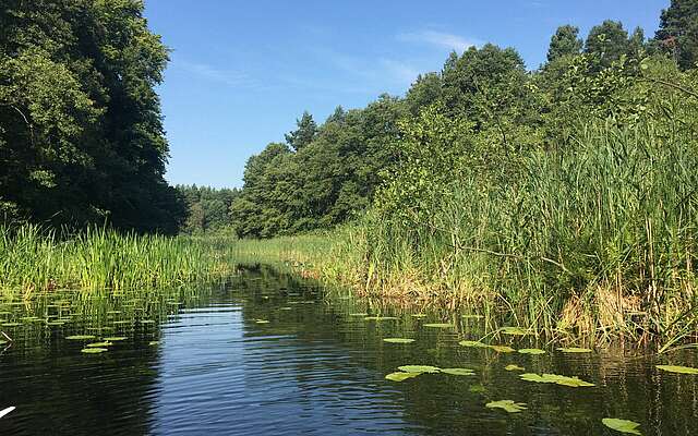 Naturpark Uckermärkische Seen