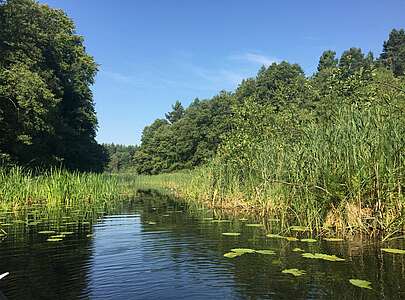 Naturpark Uckermärkische Seen