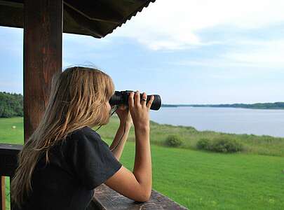 Aussichtspunkt am Groß Schauener See 