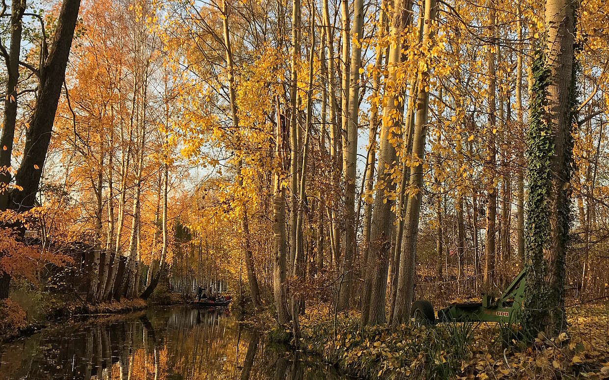 Mummelkahnfahrt im Spreewald