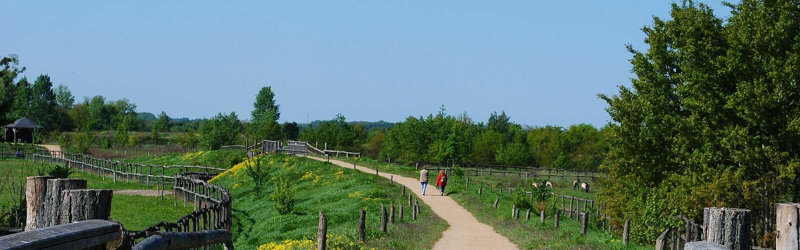 Wanderer auf dem Rundwanderweg durch die Döberitzer Heide,
        
    

        Foto: TMB-Fotoarchiv/Claus-Dieter Steyer