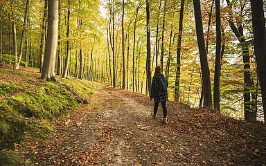 Wandern im Herbst am Schumellensee