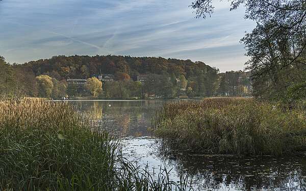 Blick auf den Schermützelsee bei Buckow