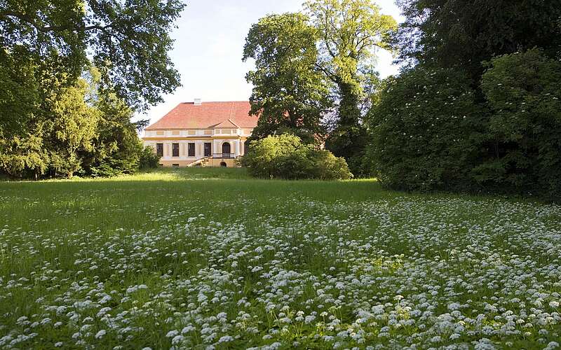 



        
            Schloss Caputh mit Parkanlage,
        
    

        Foto: TMB-Fotoarchiv/Hans Bach/SPSG
    