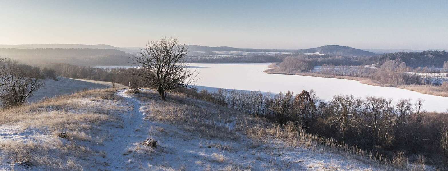 Rummelsberg bei Brodowin,
        
    

        Foto: TMB-Fotoarchiv/Steffen Lehmann