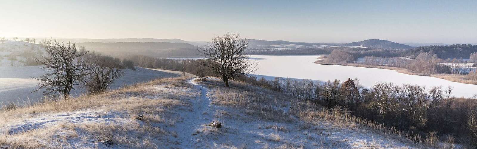 Rummelsberg bei Brodowin,
        
    

        Foto: TMB-Fotoarchiv/Steffen Lehmann