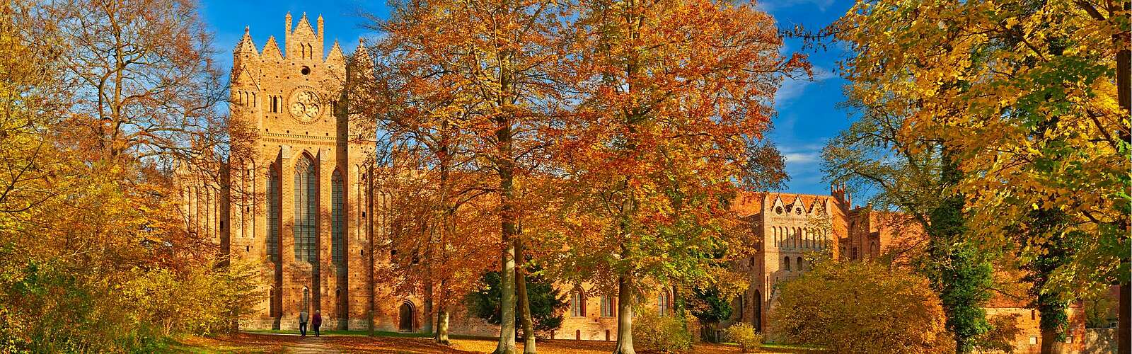 Herbstliches Kloster Chorin,
        
    

        Foto: TMB-Fotoarchiv/Frank Liebke
