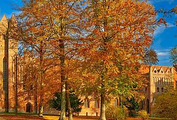 6 ziemlich gute Tipps für den Herbst in Brandenburg