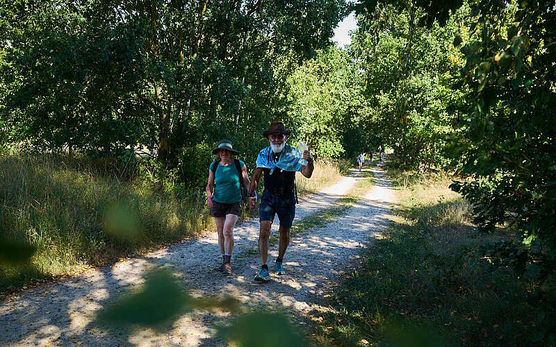 



        
            Fontane-Wandermarathon 2023,
        
    

        Foto: Tourismusverband Ruppiner Seenland e.V./Thomas Janowitz
    