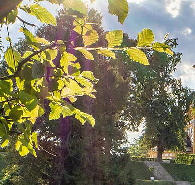 Seenland Oder-Spree ohne Barrieren