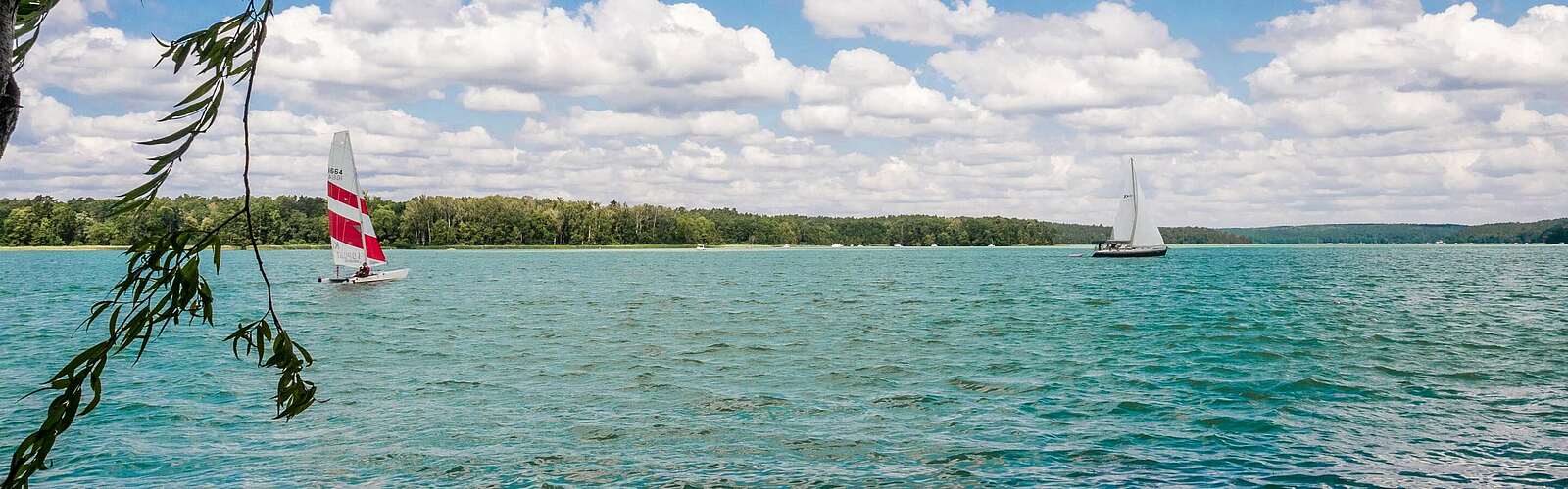 Am Werbellinsee,
        
    

        Foto: TMB-Fotoarchiv/Herz an Hirn/Laura Schneider