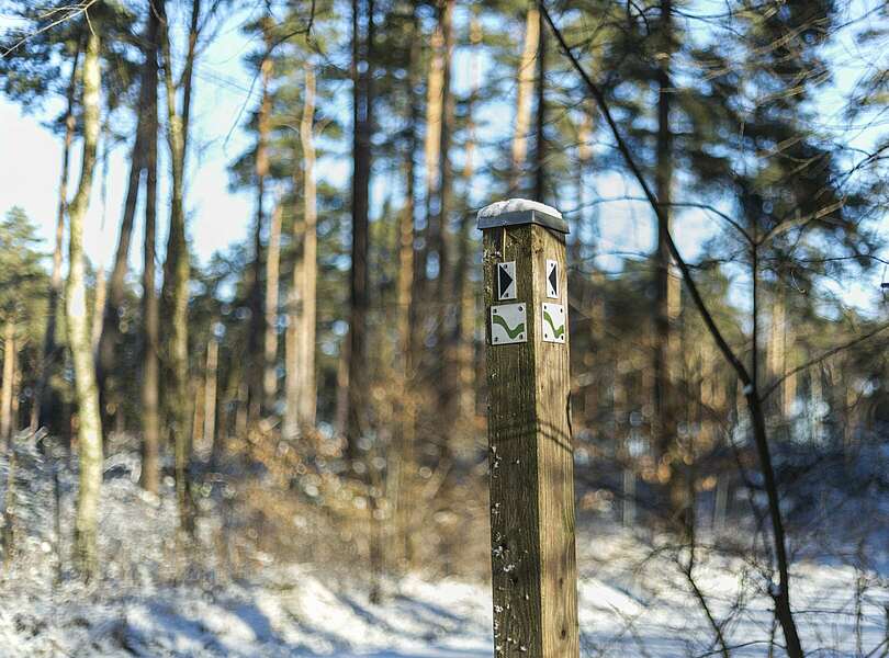 Wanderweg bei Raben