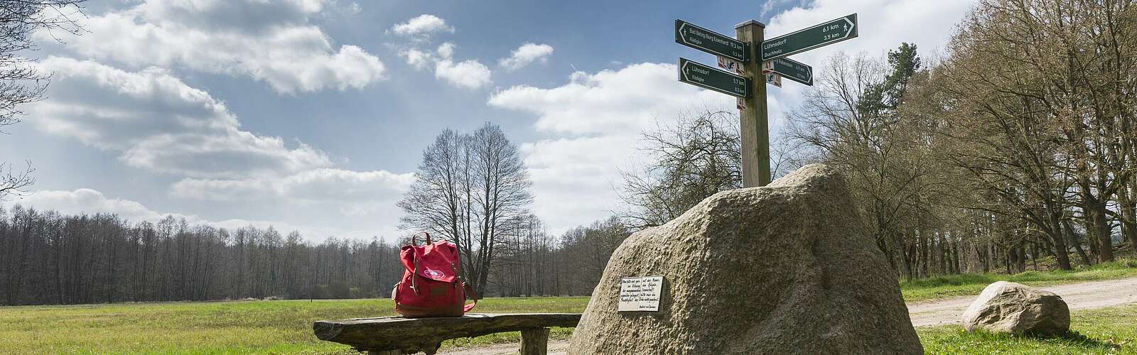 Wandern im Hohen Fläming,
        
    

        Foto: TMB-Fotoarchiv/Steffen Lehmann