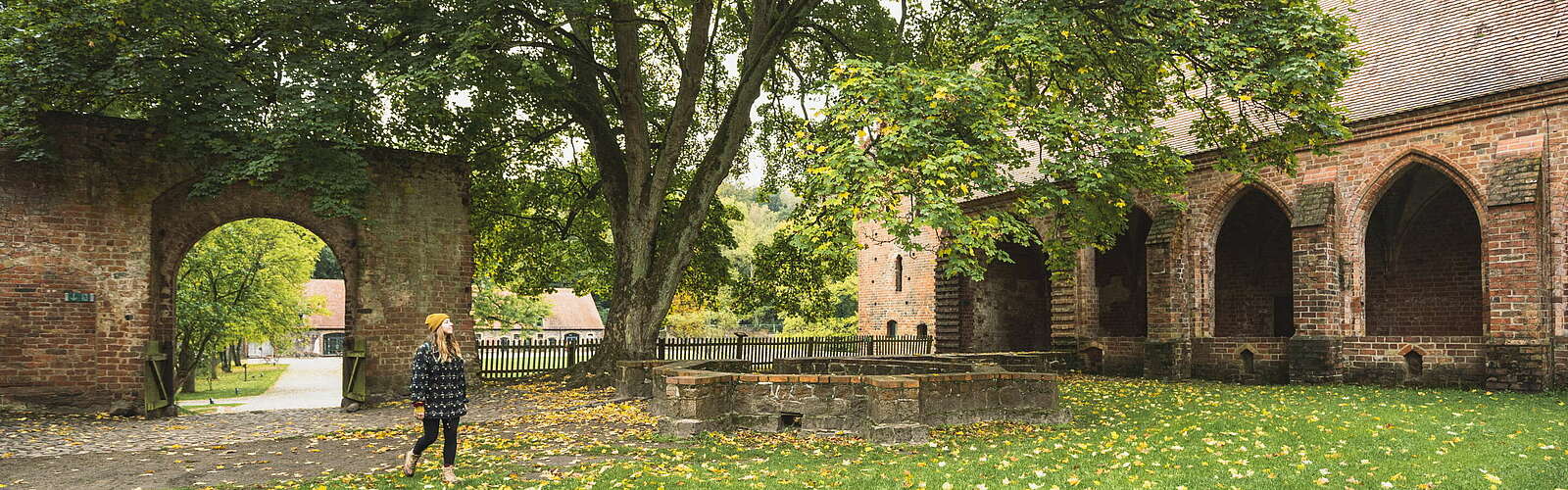 Herbstwanderung zum Kloster Chorin,
        
    

        Foto: TMB-Fotoarchiv/Steffen Lehmann