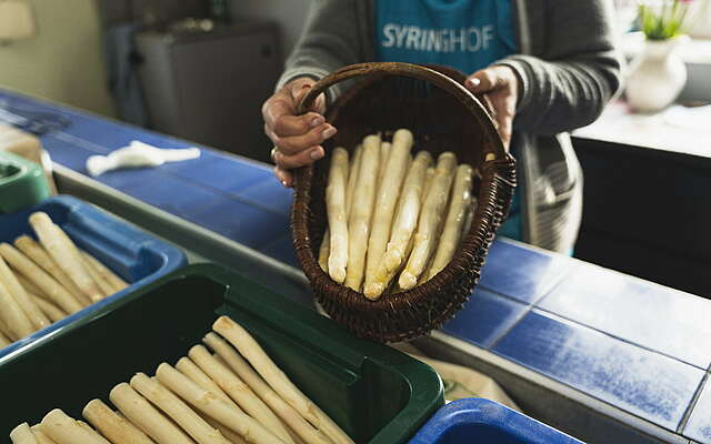 Spargel vom Syringhof in Beelitz