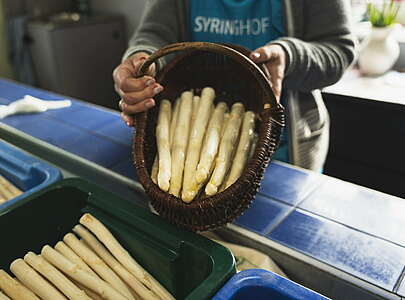 Spargel vom Syringhof in Beelitz