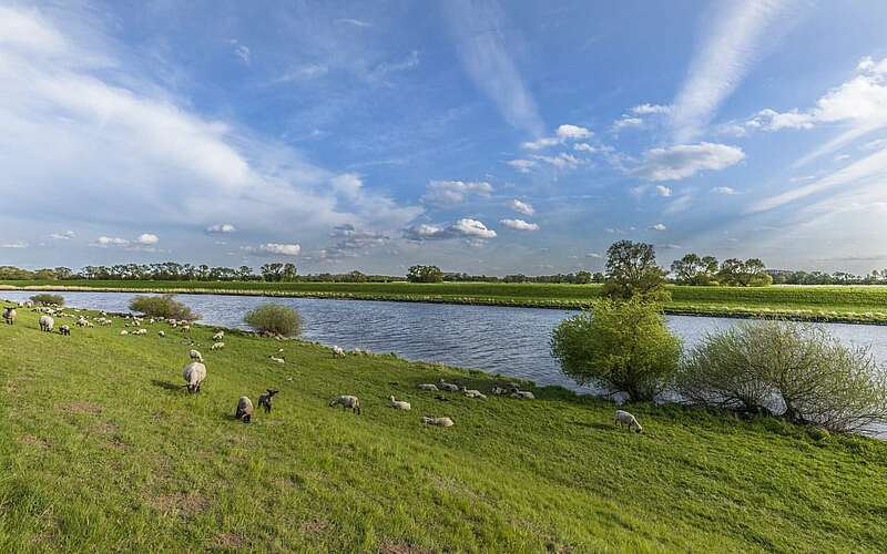 



        
            Elbe bei Rühstädt,
        
    

        Foto: TMB-Fotoarchiv/Steffen Lehmann
    