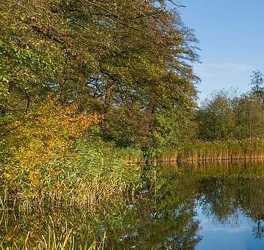 Naturpark Barnim