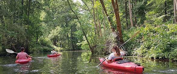 Mit dem Kajak den Spreewald entdecken