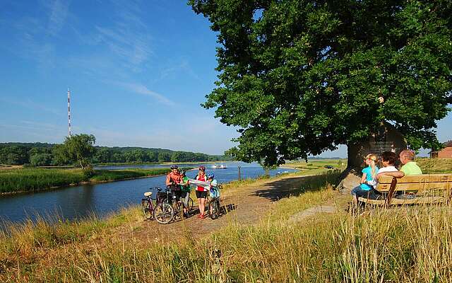 Radler an der Elbe bei Lenzen