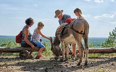 Kind streichelt Esel