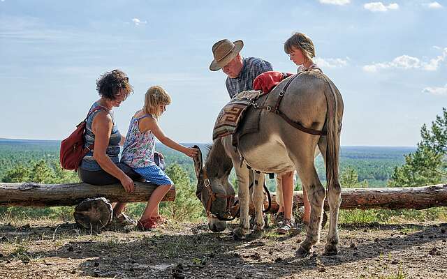 Kind streichelt Esel