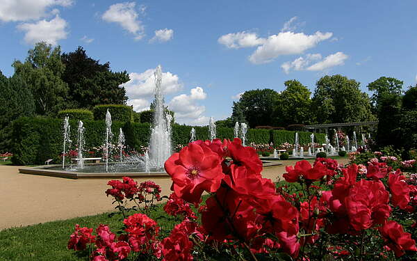 Ostdeutscher Rosengarten