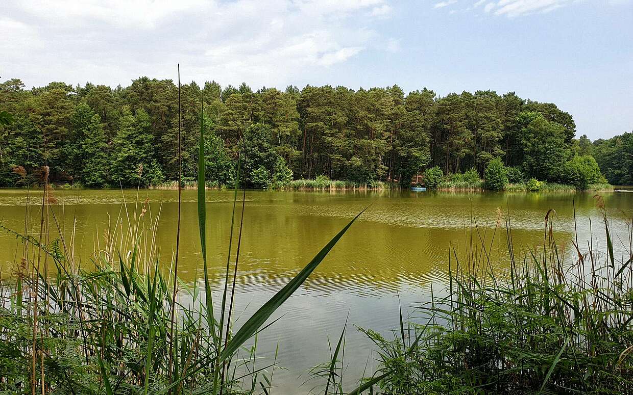 Briesensee