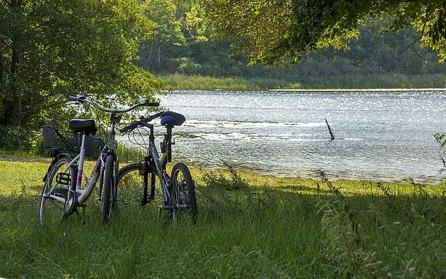 Fahrräder am kleinen Linowsee bei Rheinsberg