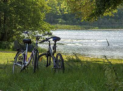 Fahrräder am kleinen Linowsee bei Rheinsberg