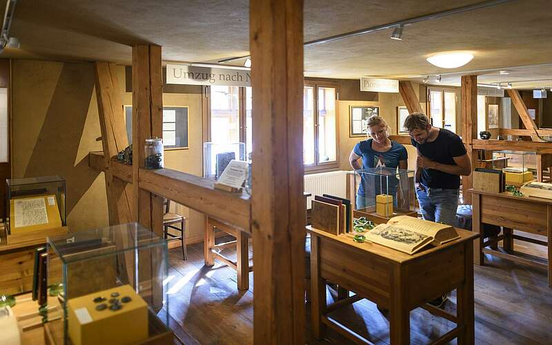 



        
            Besucher im historischen Glasmacherhaus in Neuglobsow,
        
    

        Foto: TMB-Fotoarchiv/Wolfgang Ehn
    