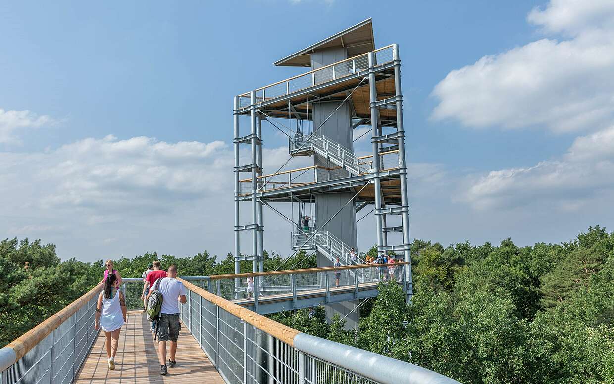 Imposante Ausblicke in den Fläming bietet der Baumkronenpfad – insbesondere vom 40 Meter hohen Aussichtsturm.