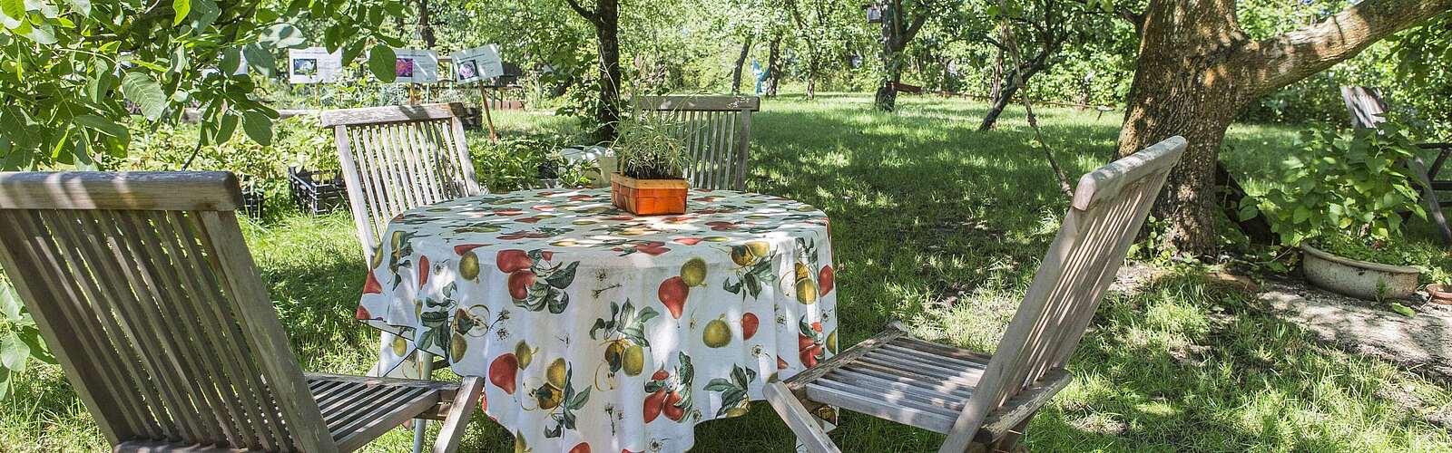 Garten auf Gut Blankensee,
        
    

        Foto: TMB-Fotoarchiv/Steffen Lehmann