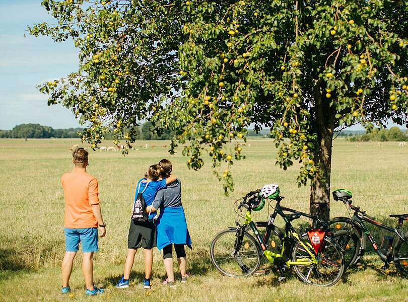 Familie bei Pause von Radtour 