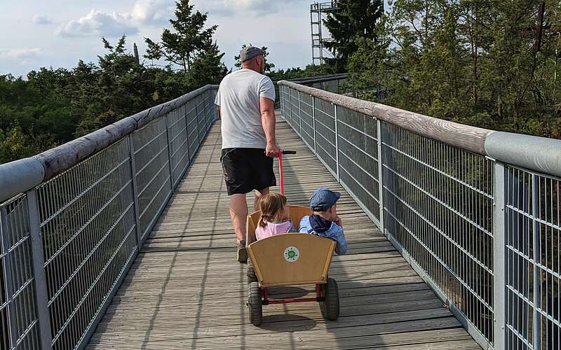 



        
            Unterwegs auf dem Baumkronenpfad,
        
    

        Foto: TMB-Fotoarchiv/Antje Tischer
    