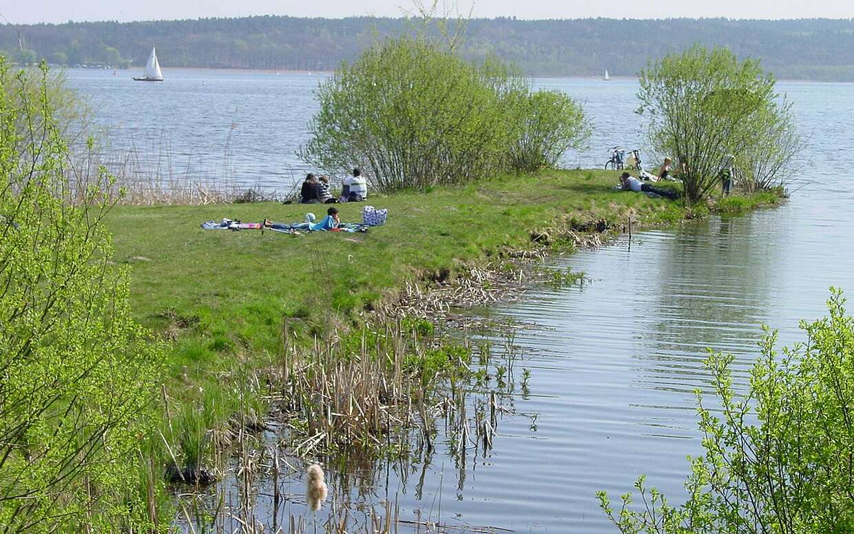 Picknick am Schwielowsee