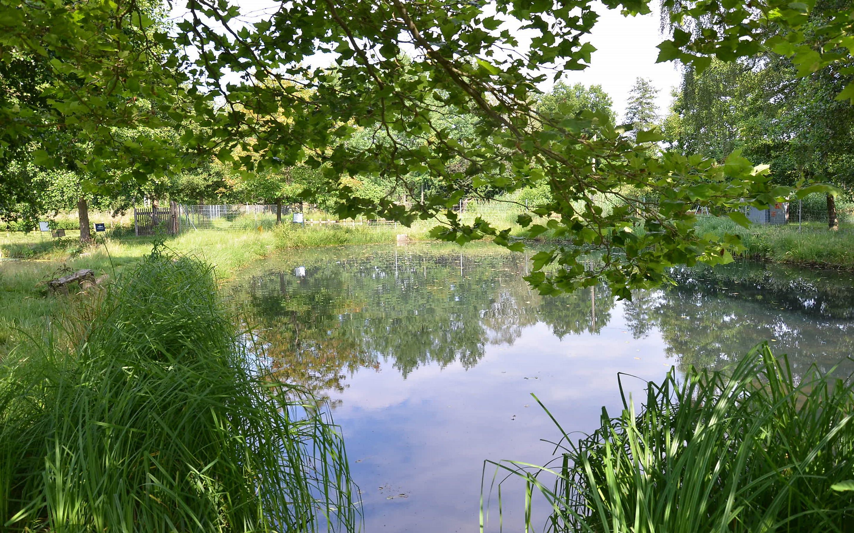 Kleine Fluchten Hotelturmanlage Rottstock