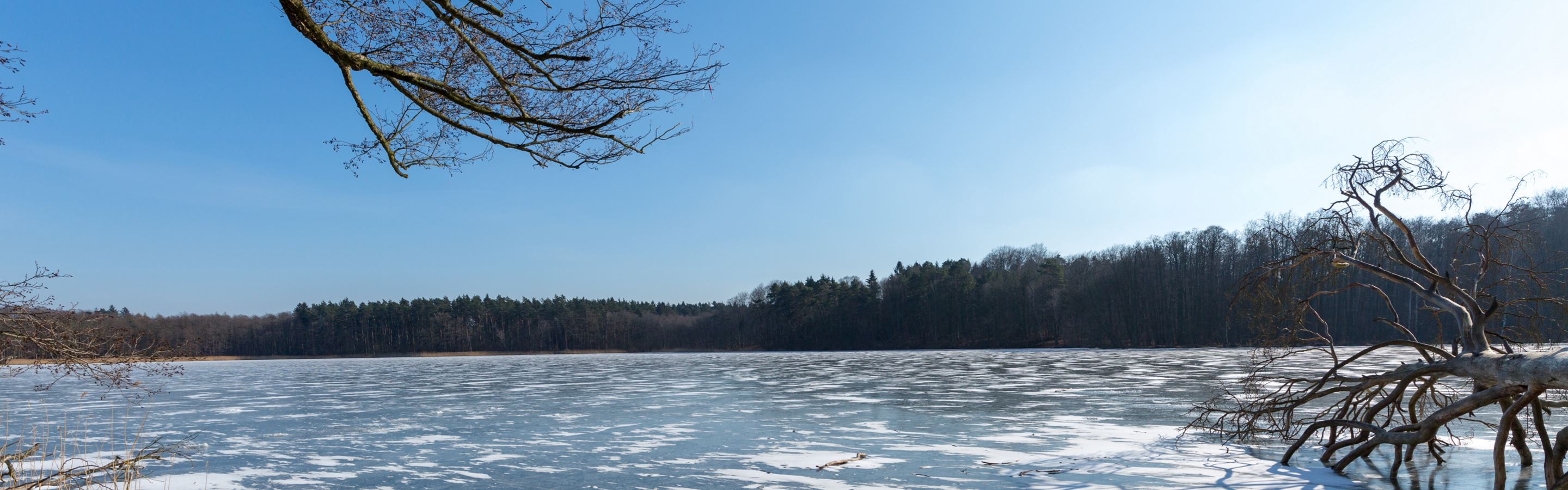 Nationale Naturlandschaften im Land Brandenburg