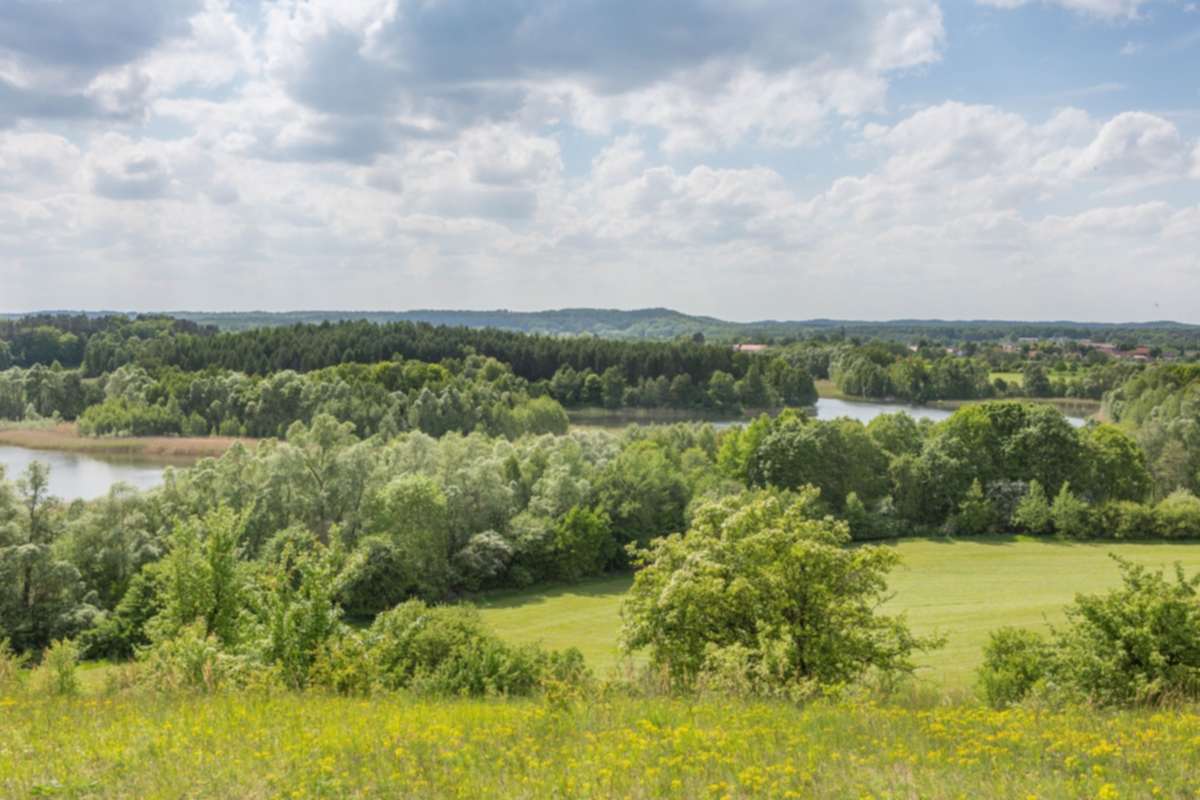 Löwenzahnpfad Schönerlinder Teiche, Barnimer Land, Schönerlinde