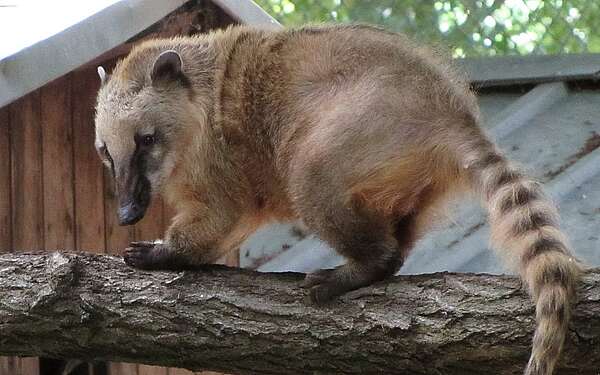 Tiergehege im Tierpark Perleberg c Tierpark Perleberg