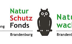 Logo Naturwacht Brandenburg
