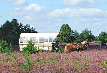 Sielmanns Naturlandschaft Kyritz-Ruppiner Heide