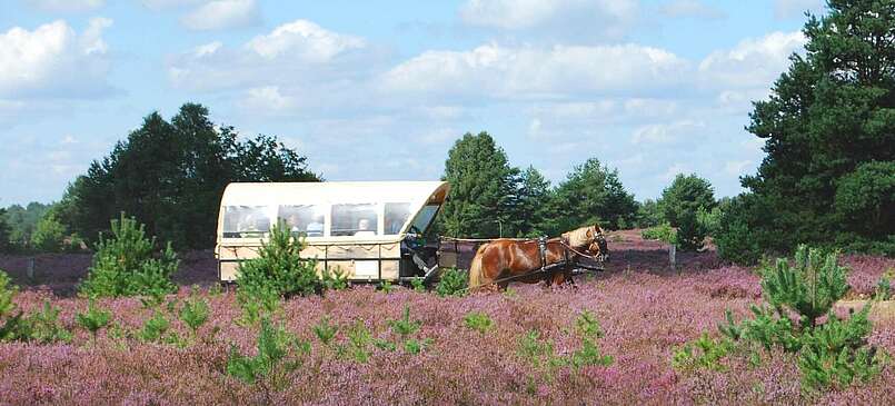 GB KRH DSC 0126 Susanne Wunderlich 2560x800