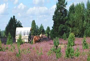 GB KRH DSC 0126 Susanne Wunderlich 2560x800