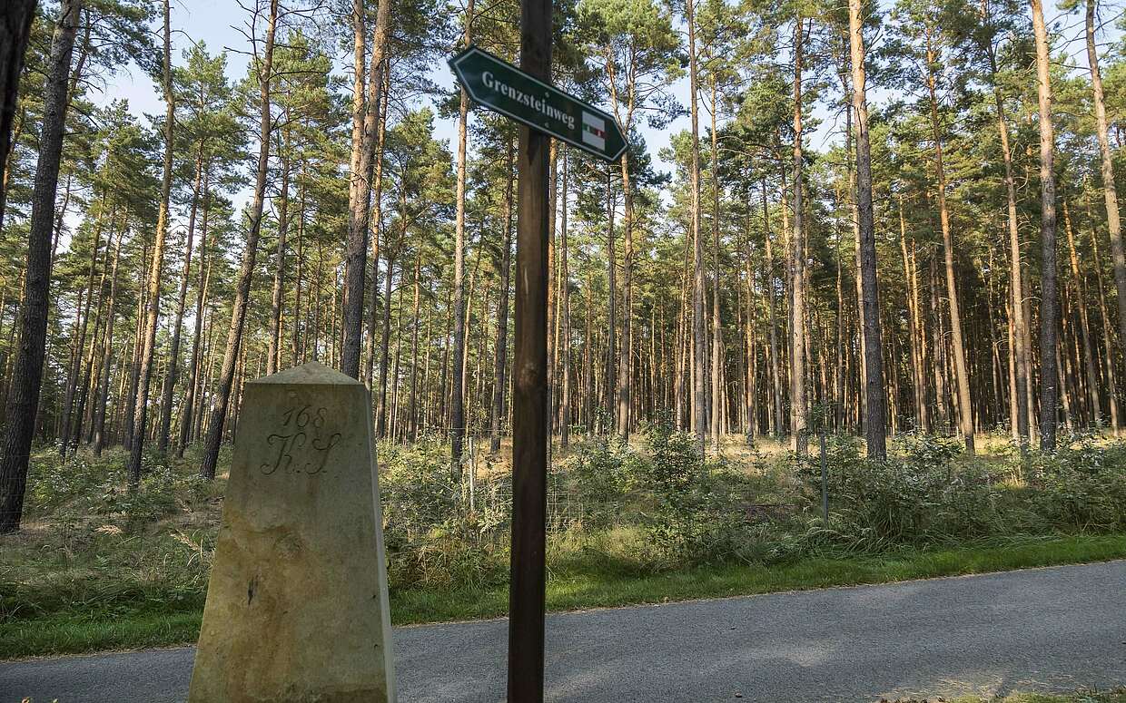 Grenzstein am Heidebergturm, Foto: TMB-Fotoarchiv/ Steffen Lehmann