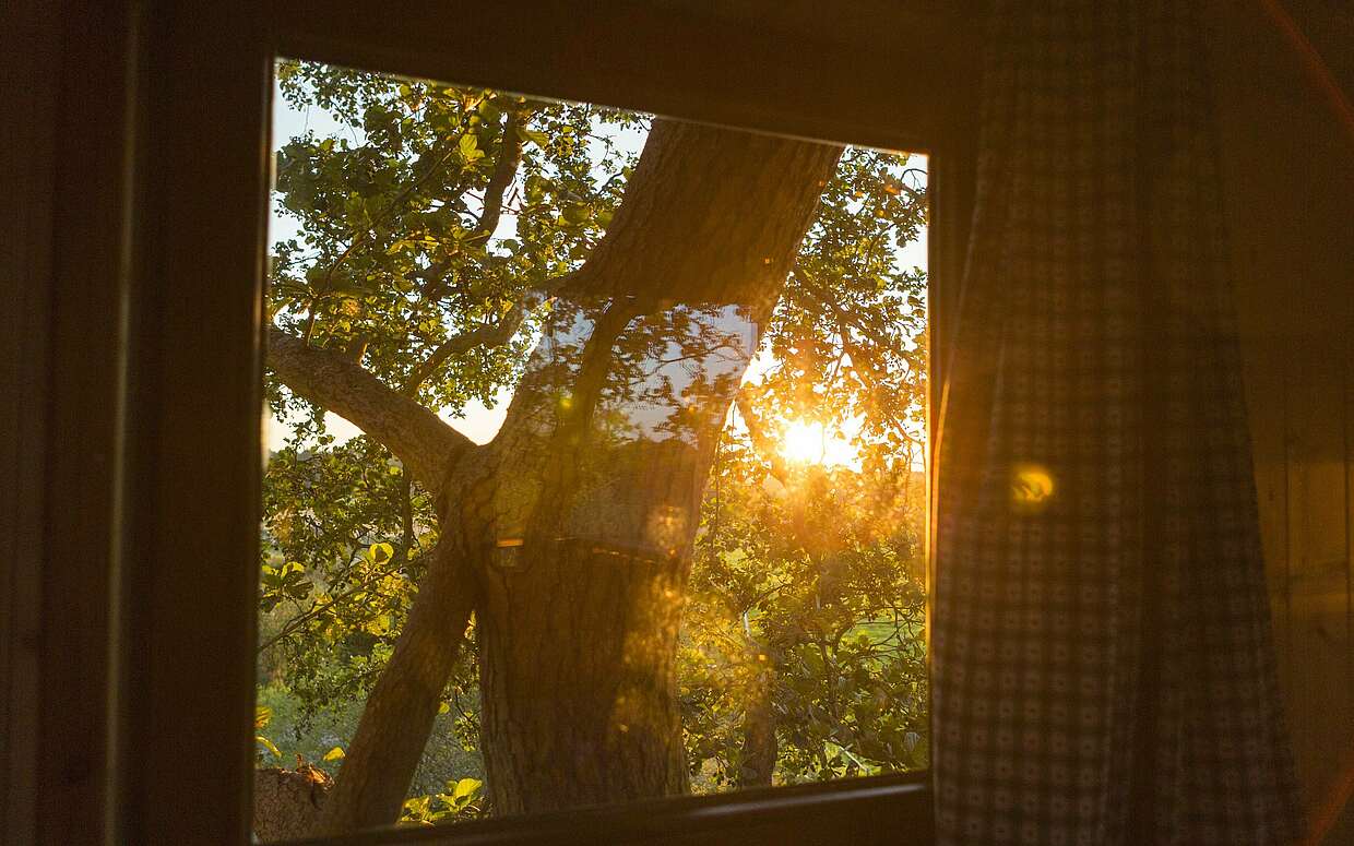Sonnenuntergang am Baumhaus auf Gut Gollin.