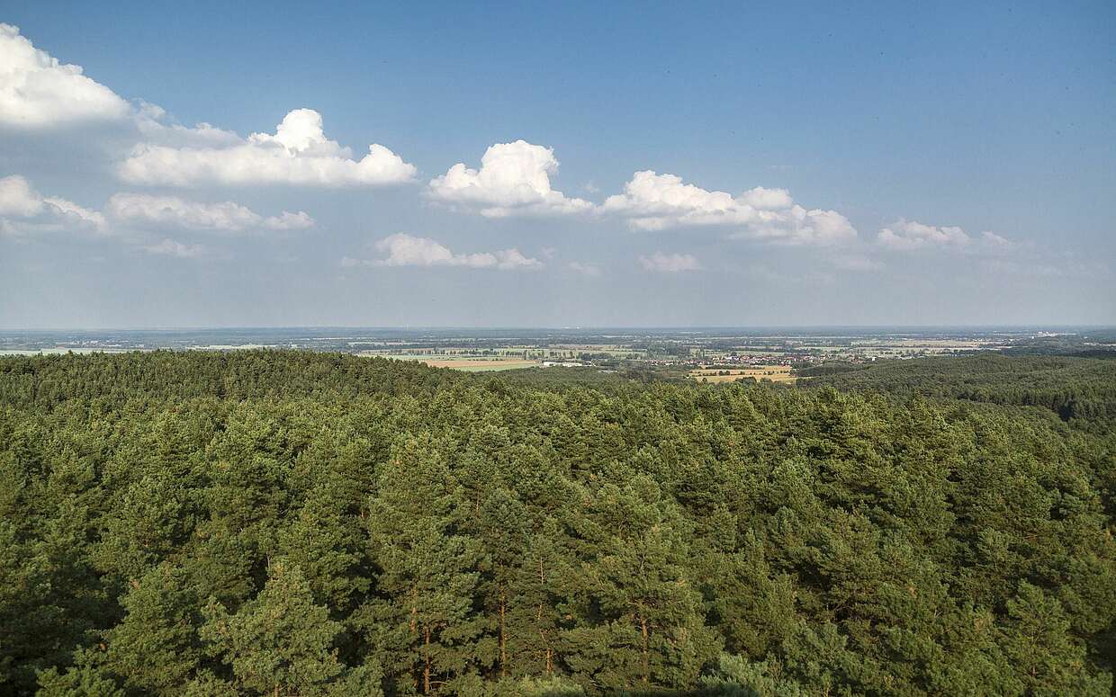 Aussicht vom Heidebergturm, Foto: TMB-Fotoarchiv/ Steffen Lehmann