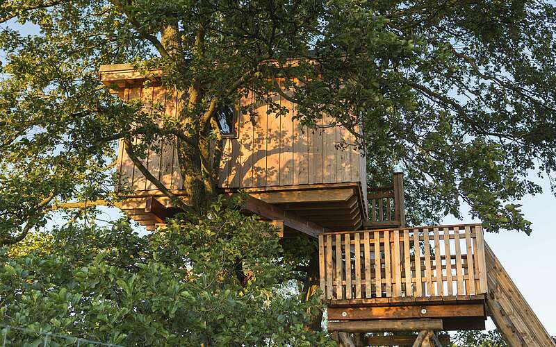 



    
        
                Baumhaus auf Gut Gollin,
            
        
                Foto: TMB Tourismus-Marketing Brandenburg GmbH/Steffen Lehmann
            
    
