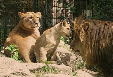 Zoos & Tierparks