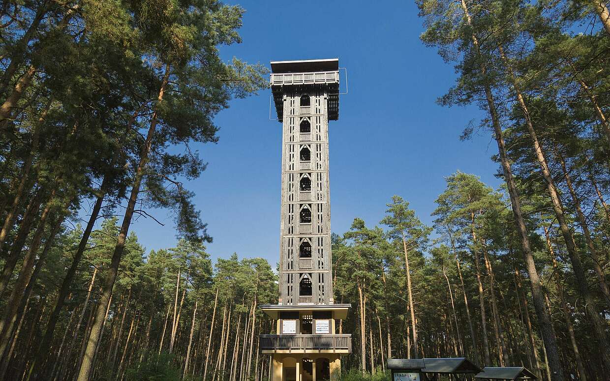 Heidebergturm, Foto: TMB-Fotoarchiv/ Steffen Lehmann